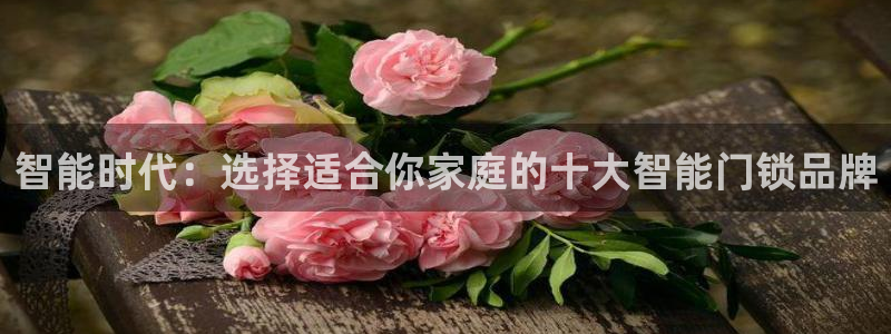 利记娱乐会员金钻官网：智能时代：选择适合你家庭的十大智能门锁