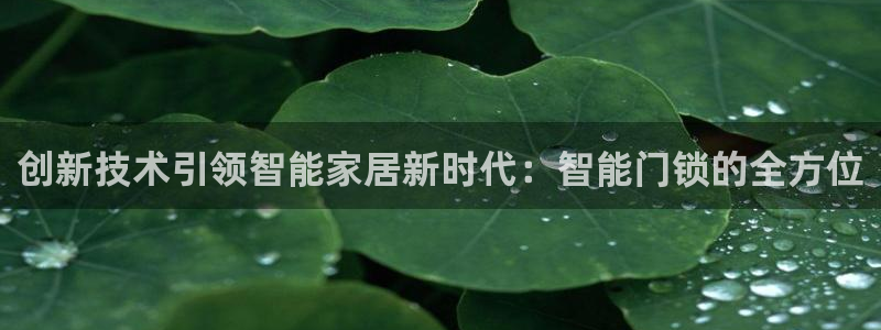 万利记菜单价格查询官网：创新技术引领智能家居新时代：智能门锁