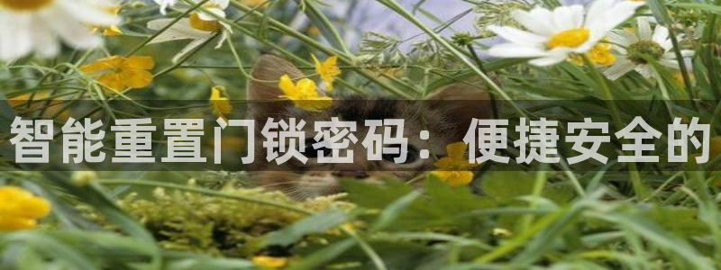 利记官网官方网站：智能重置门锁密码：便捷安全的