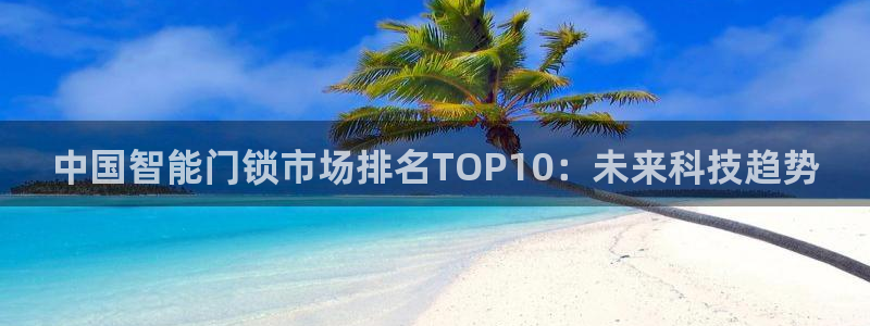 利记app官网入口：中国智能门锁市场排名TOP10：未来科技