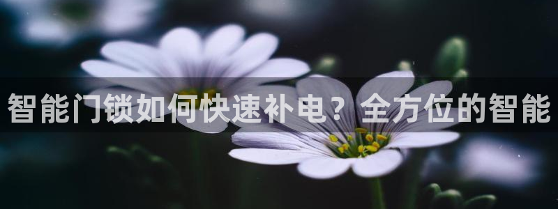 利记官网入口最新版：智能门锁如何快速补电？全方位的智能