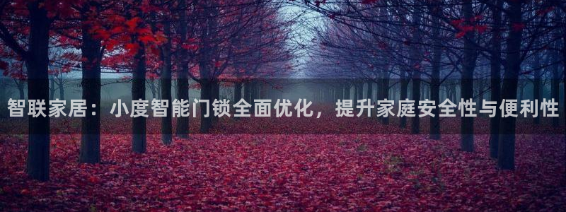 利记体育app官网：智联家居：小度智能门锁全面优化，提升家庭