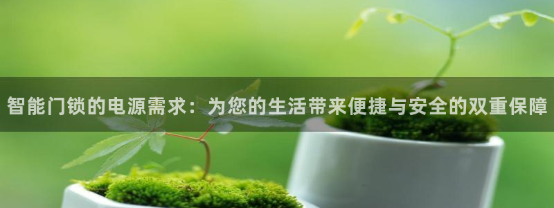 利记官网是多少：智能门锁的电源需求：为您的生活带来便捷与安全