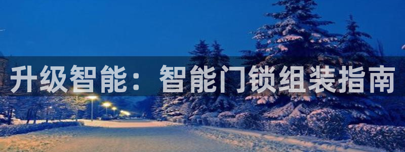 香港利记集团官网旗舰店：升级智能：智能门锁组装指南