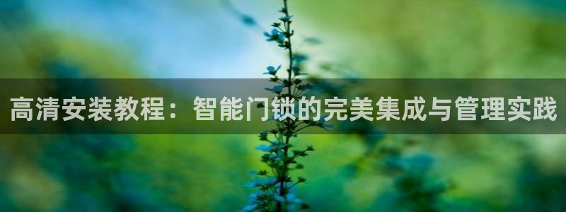 利记彩票官网hd71：高清安装教程：智能门锁的完美集成与管理