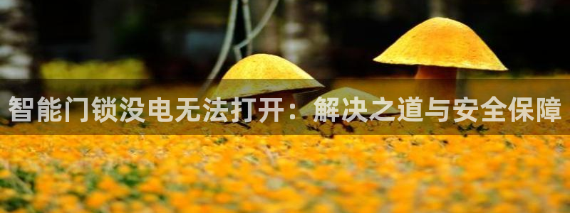 sbo利记体育官网：智能门锁没电无法打开：解决之道与安全保障