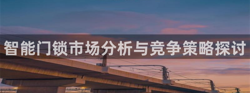 sbobet利记官网登录入口：智能门锁市场分析与竞争策略探讨