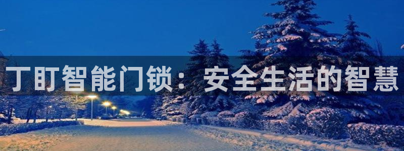 香港利记lee kee集团官网：丁盯智能门锁：安全生活的智慧
