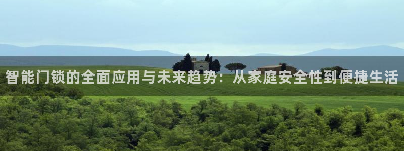 大利来记官网：智能门锁的全面应用与未来趋势：从家庭安全性到便