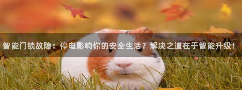 利记网址注册官网：智能门锁故障：停电影响你的安全生活？解决之