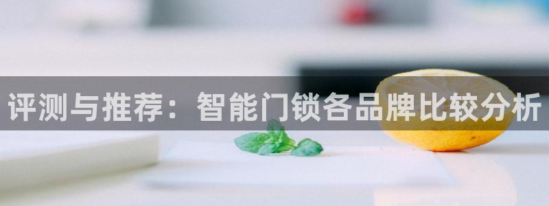 利记彩票网网址官网hd71：评测与推荐：智能门锁各品牌比较分