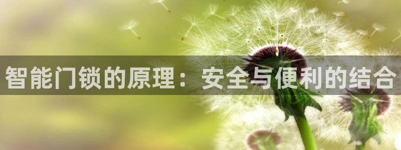 利记平台官网首页：智能门锁的原理：安全与便利的结合