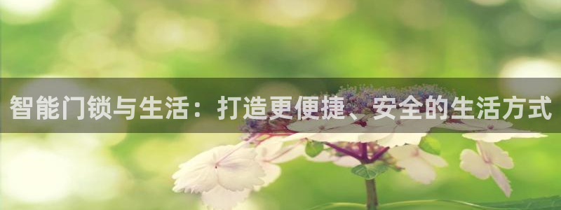 利记网址注册官网：智能门锁与生活：打造更便捷、安全的生活方式