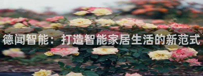 利记坊官网注册：德闻智能：打造智能家居生活的新范式