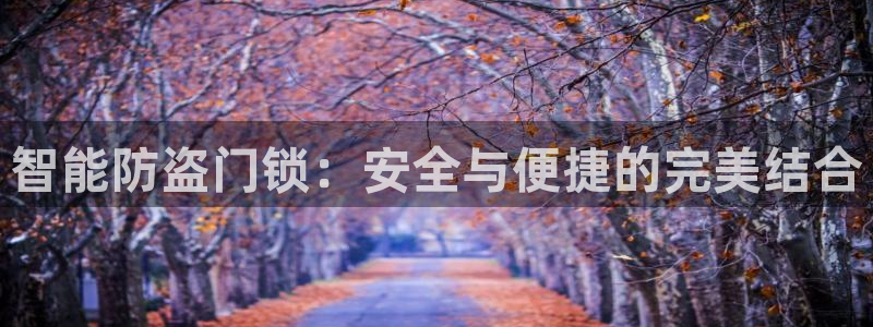 利记厨具官网客服电话：智能防盗门锁：安全与便捷的完美结合