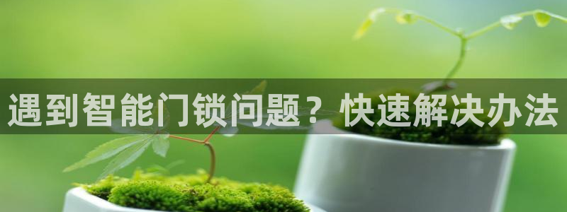 sbo利记体育官网：遇到智能门锁问题？快速解决办法