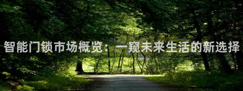 利记官网app下载网址：智能门锁市场概览：一窥未来生活的新选