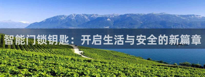利记官网行业领导者：智能门锁钥匙：开启生活与安全的新篇章