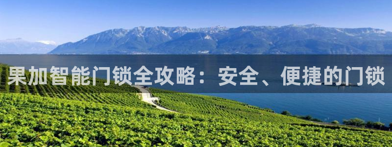 sbo利记体育官网注册：果加智能门锁全攻略：安全、便捷的门锁