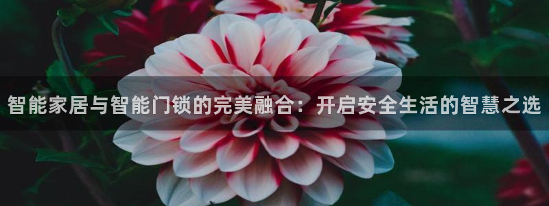 利记真正的官网是多少：智能家居与智能门锁的完美融合：开启安全