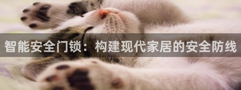利记官网app：智能安全门锁：构建现代家居的安全防线