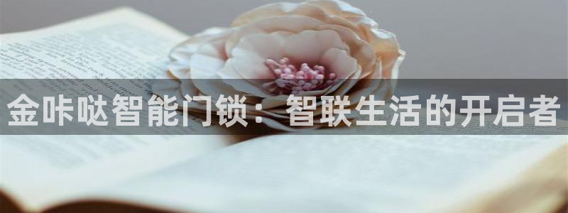 利记广告联盟官网：金咔哒智能门锁：智联生活的开启者