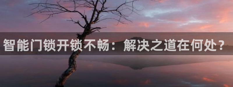 利记娱乐网官网：智能门锁开锁不畅：解决之道在何处？