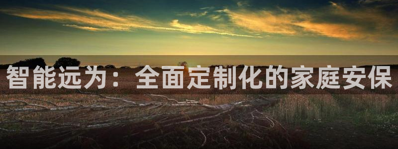 利记体育在线官网：智能远为：全面定制化的家庭安保