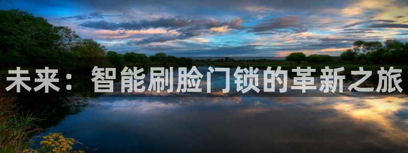 利记彩票官网网址官网hd71：未来：智能刷脸门锁的革新之旅