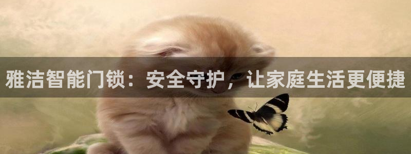 利记彩票官网：雅洁智能门锁：安全守护，让家庭生活更便捷