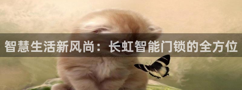 利记博彩官网：智慧生活新风尚：长虹智能门锁的全方位