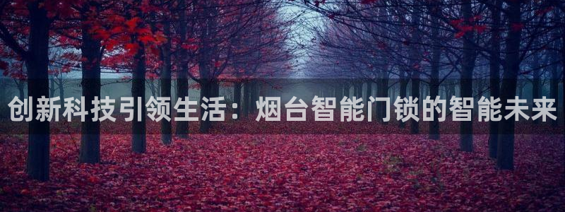 香港利记集团官网地址：创新科技引领生活：烟台智能门锁的智能未