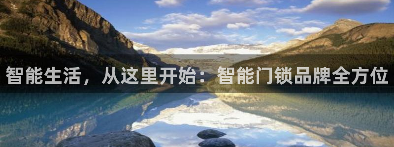 利记真正的官网是多少：智能生活，从这里开始：智能门锁品牌全方