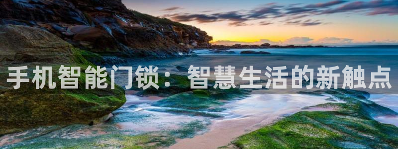 铂利记旗舰店官网：手机智能门锁：智慧生活的新触点