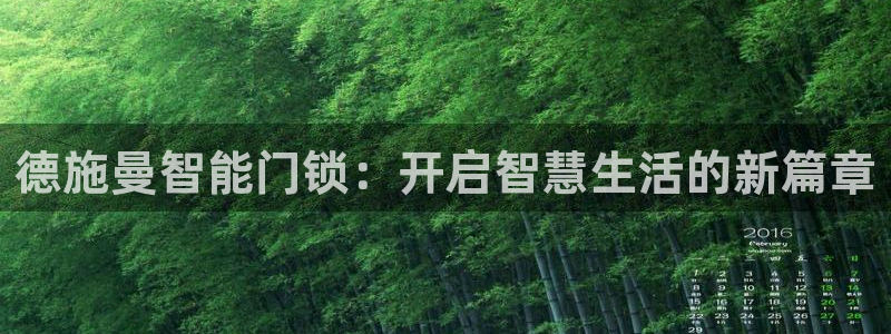 利记科技有限公司官网：德施曼智能门锁：开启智慧生活的新篇章